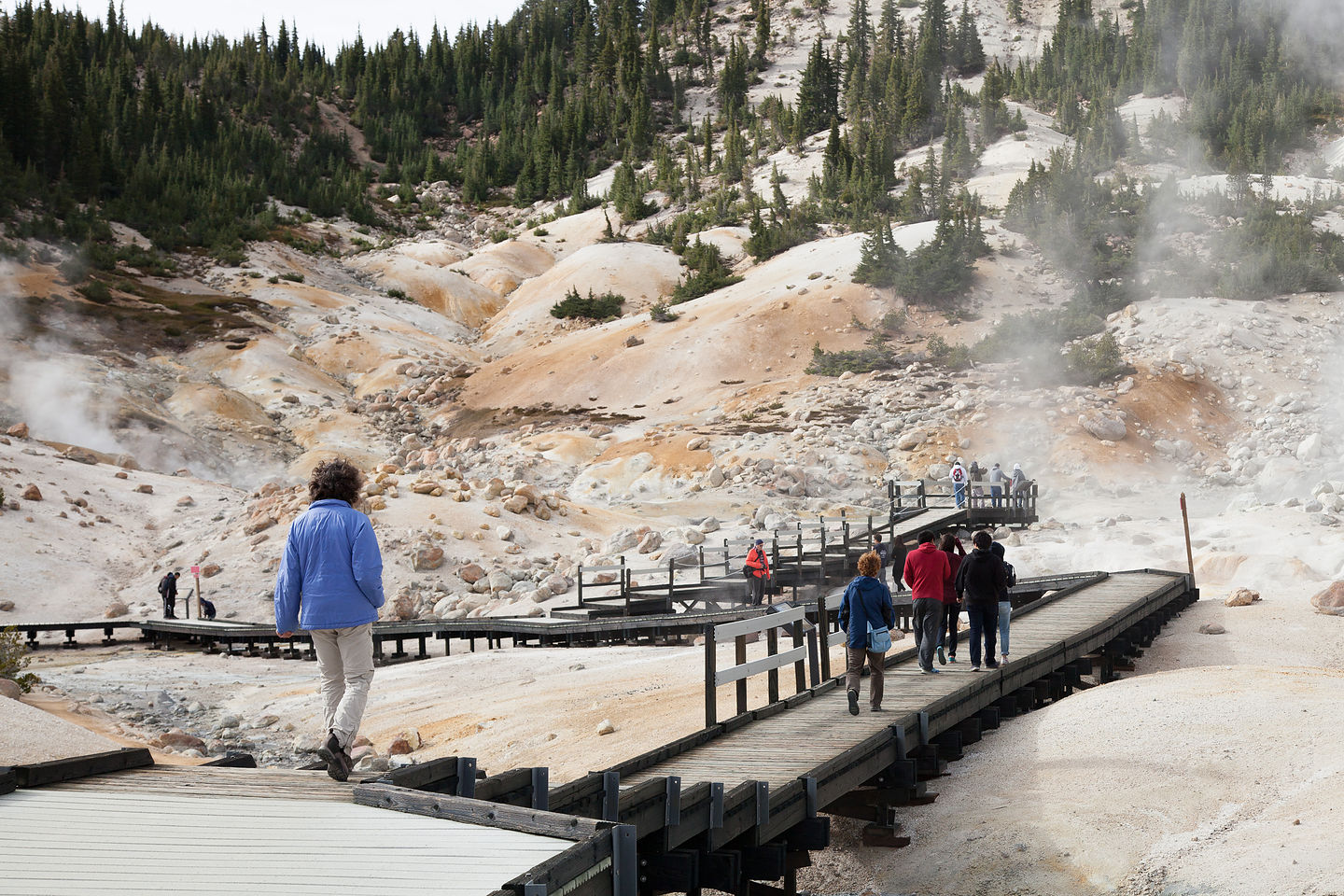 Lolo on Bumpass Hell Boardwalk Lolo on Bumpass Hell Boardwalk