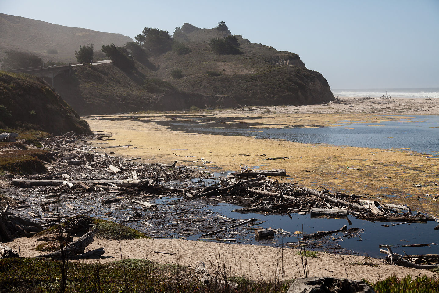 Beach Landscape