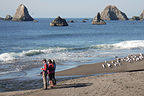 Mouth of Russian River