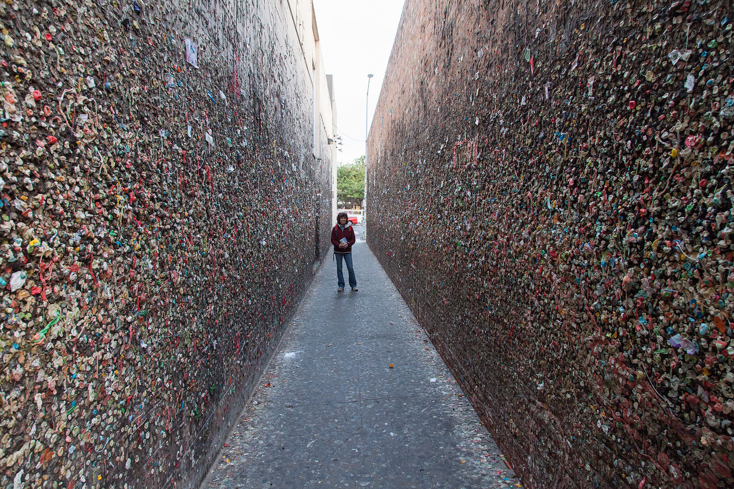 Lolo in Bubblegum Alley Lolo in Bubblegum Alley