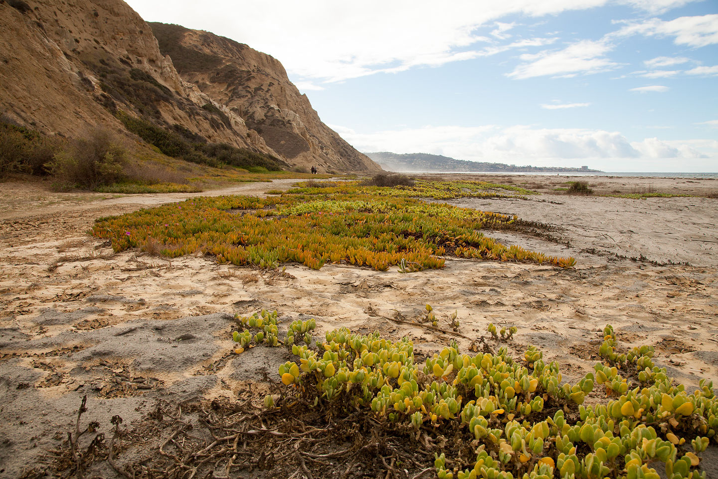 Torrey Pines State Beach Torrey Pines State Beach