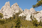 Castle Crags Pinnacles