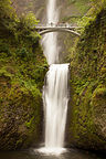 Multnomah Falls with Benson Bridge