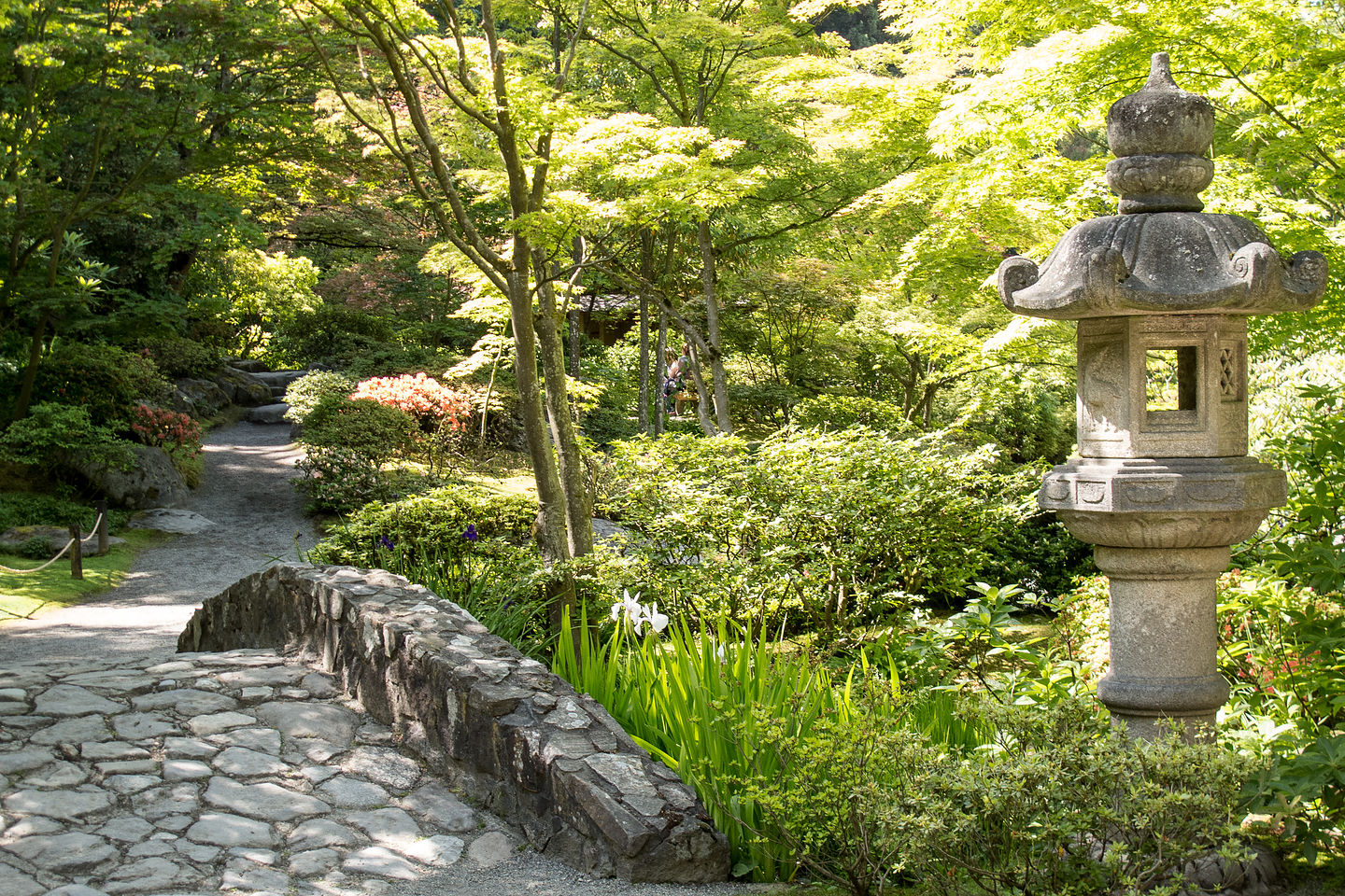 Seattle Japanese Garden Seattle Japanese Garden