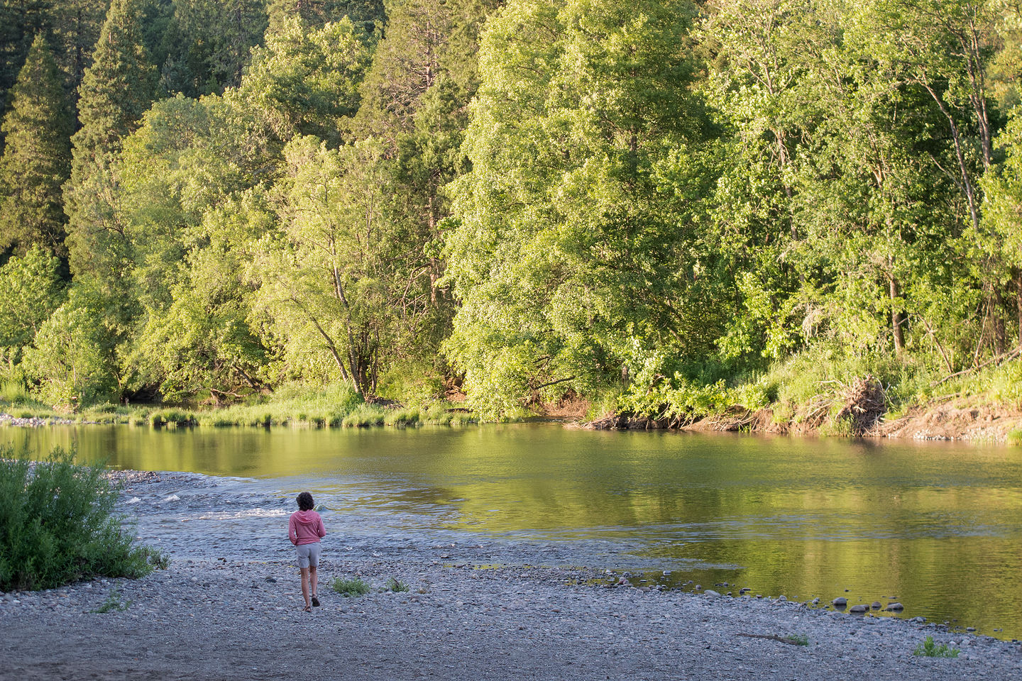 Lolo on South Umpqua River in Stanton Park Lolo on South Umpqua River in Stanton Park