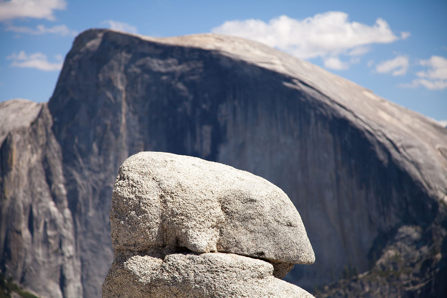 Baby Half Dome Rock with Big Aspirations Baby Half Dome Rock with Big Aspirations