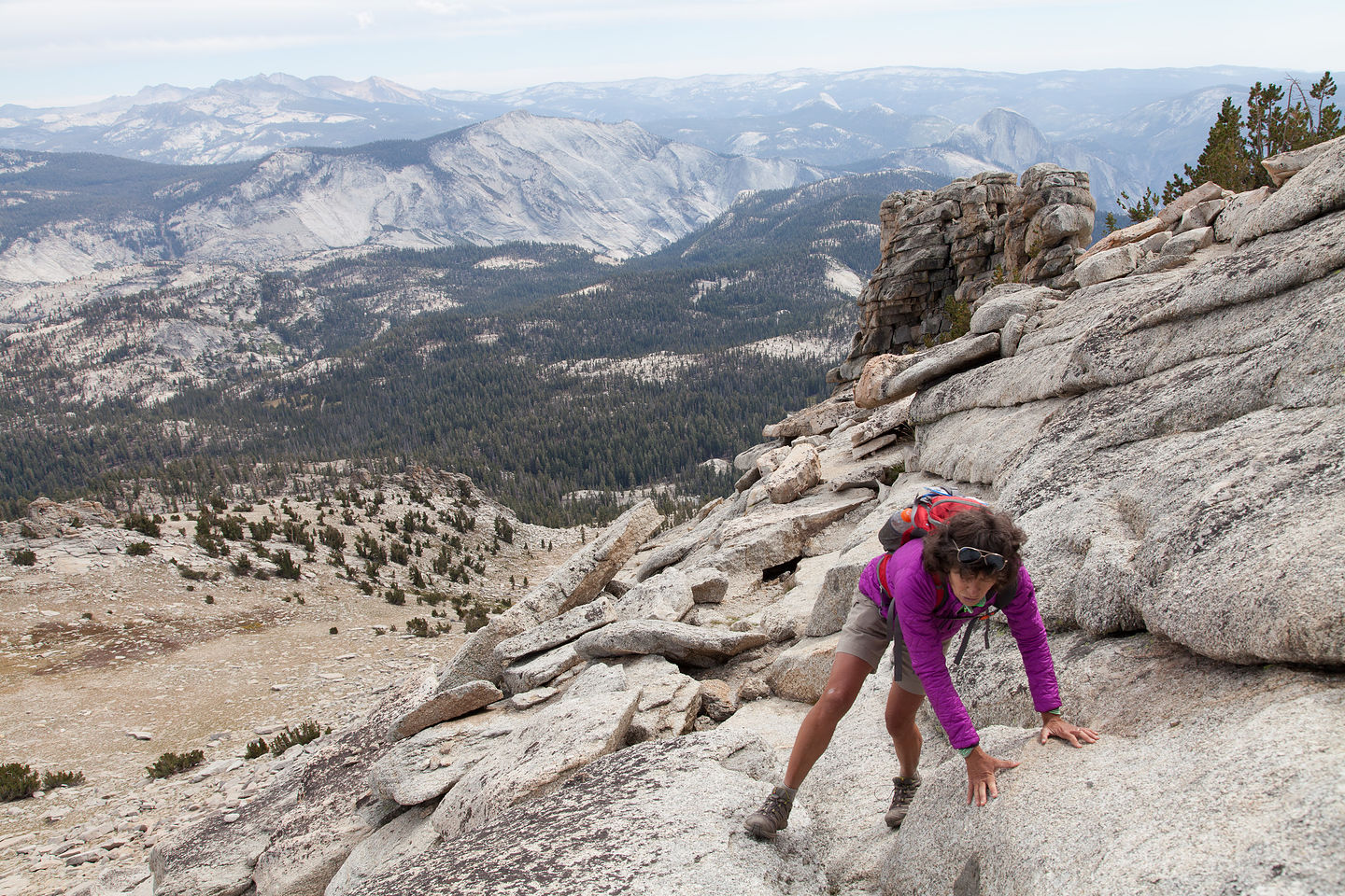 Lolo on Final Approach to Mount Hoffman Summit