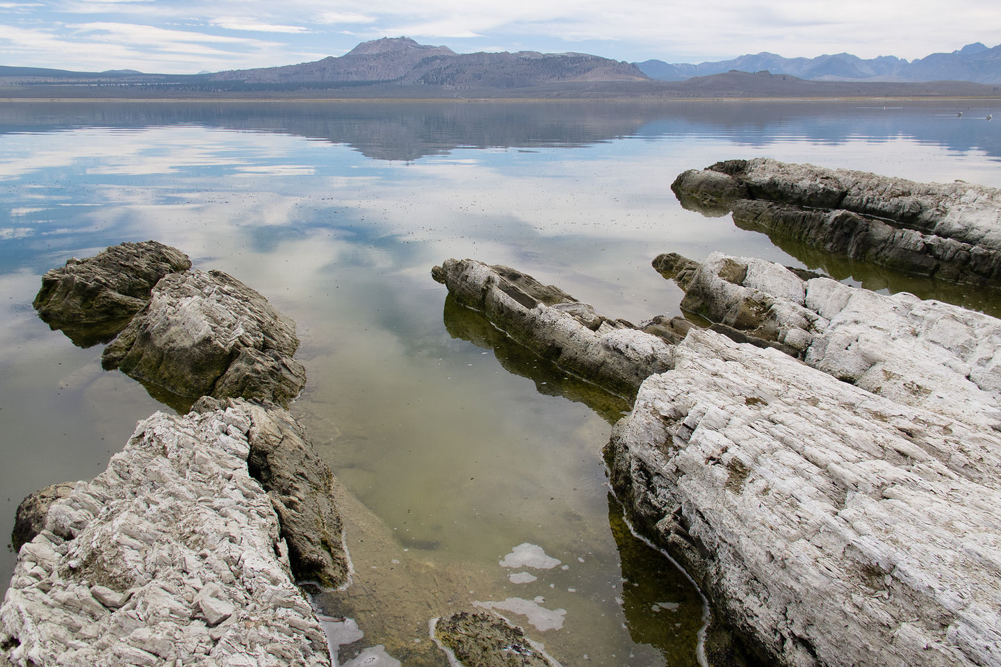 Paoha Island Shoreline