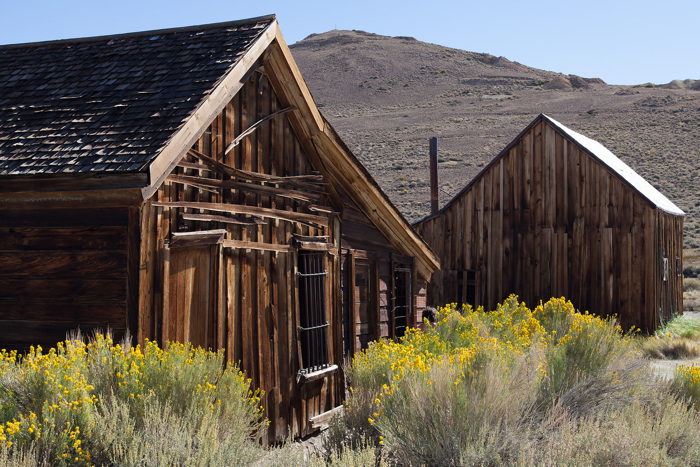 Bodie Buildings with Yellow Flowers Bodie Buildings with Yellow Flowers