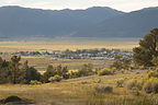 View of Bridgeport from Travetine Hot Springs