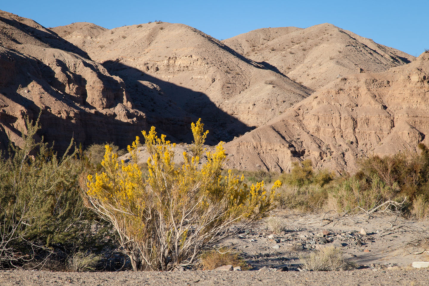 Afton Canyon Walls