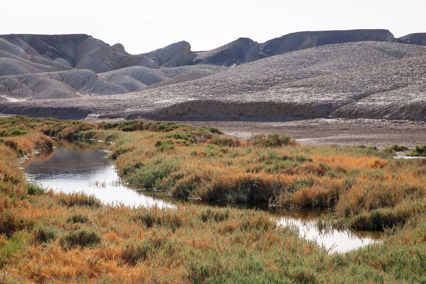 Salt Creek sans Pupfish Salt Creek sans Pupfish