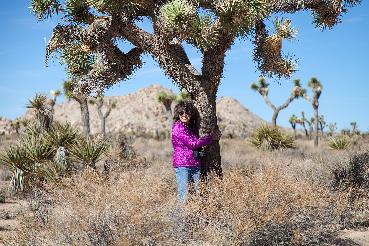 Joshua Tree Hugger Joshua Tree Hugger