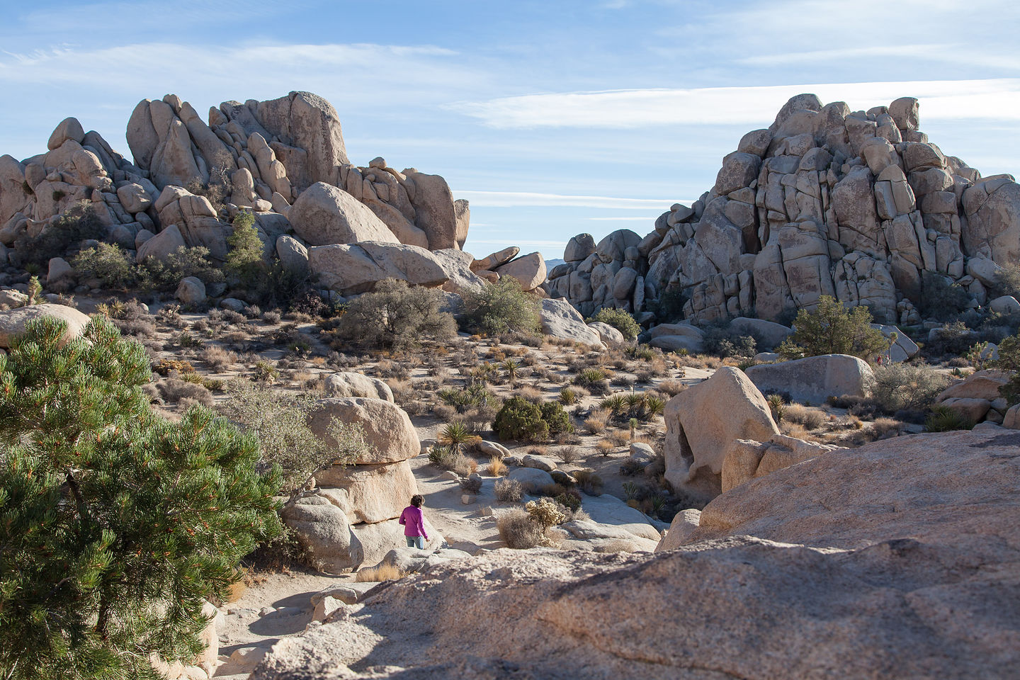 Lolo Hiking Hidden Valley