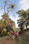 Mistletoe on Lake Sonoma Canoe Trail Hike