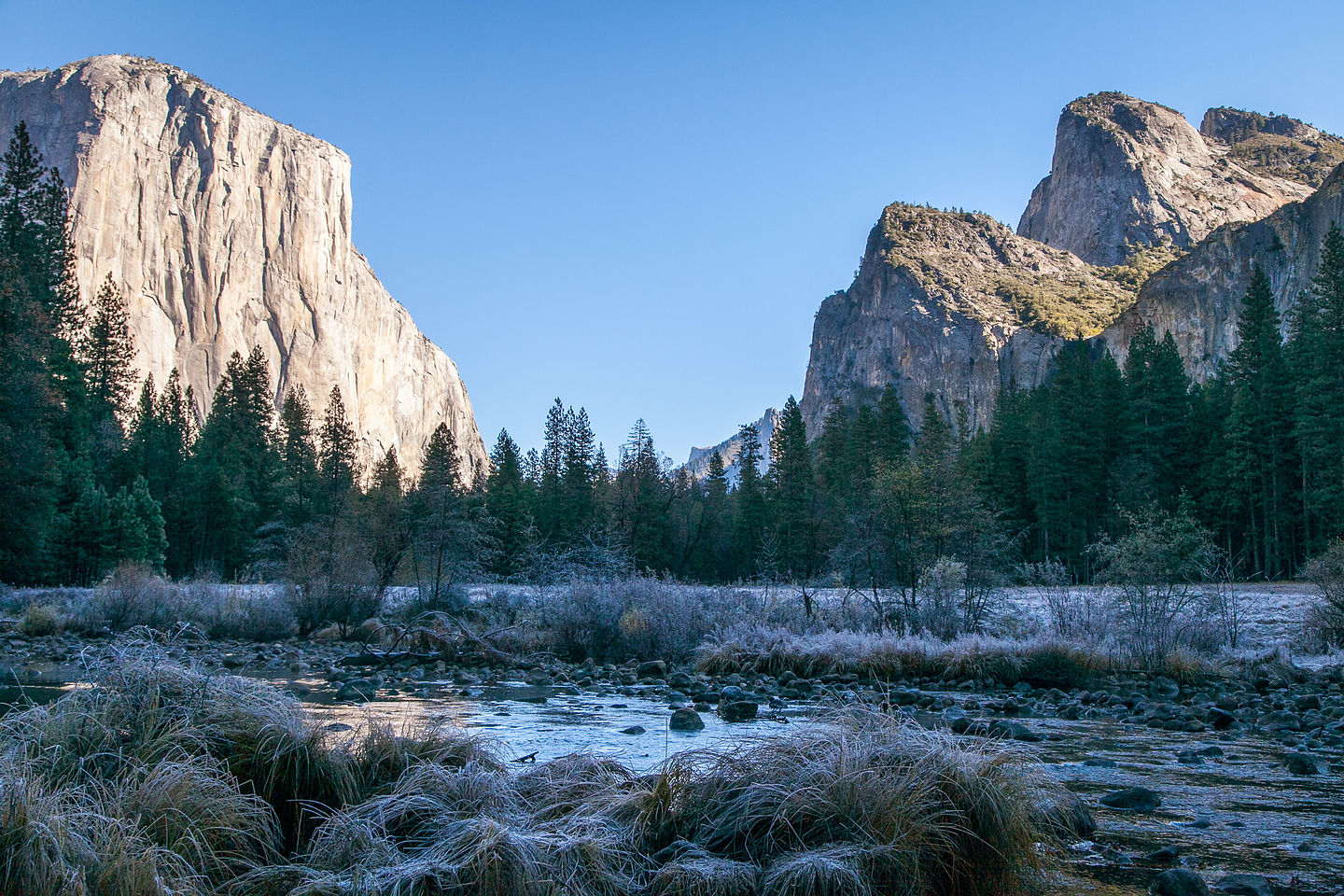 El Capitan in Morning Light El Capitan in Morning Light