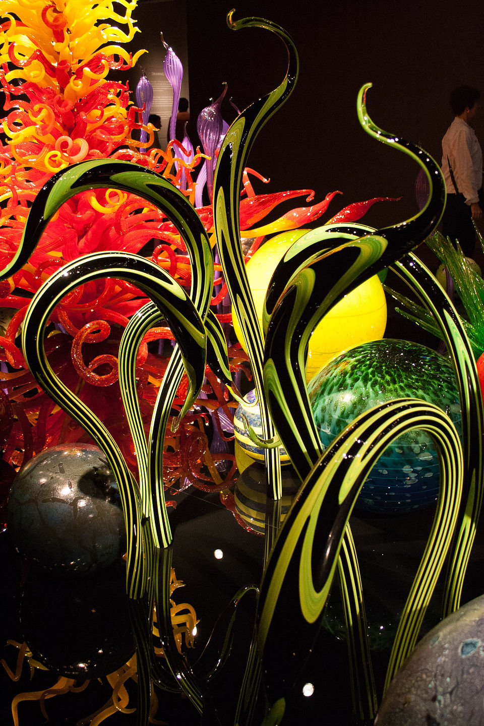 Chihuly Glass Chihuly Glass