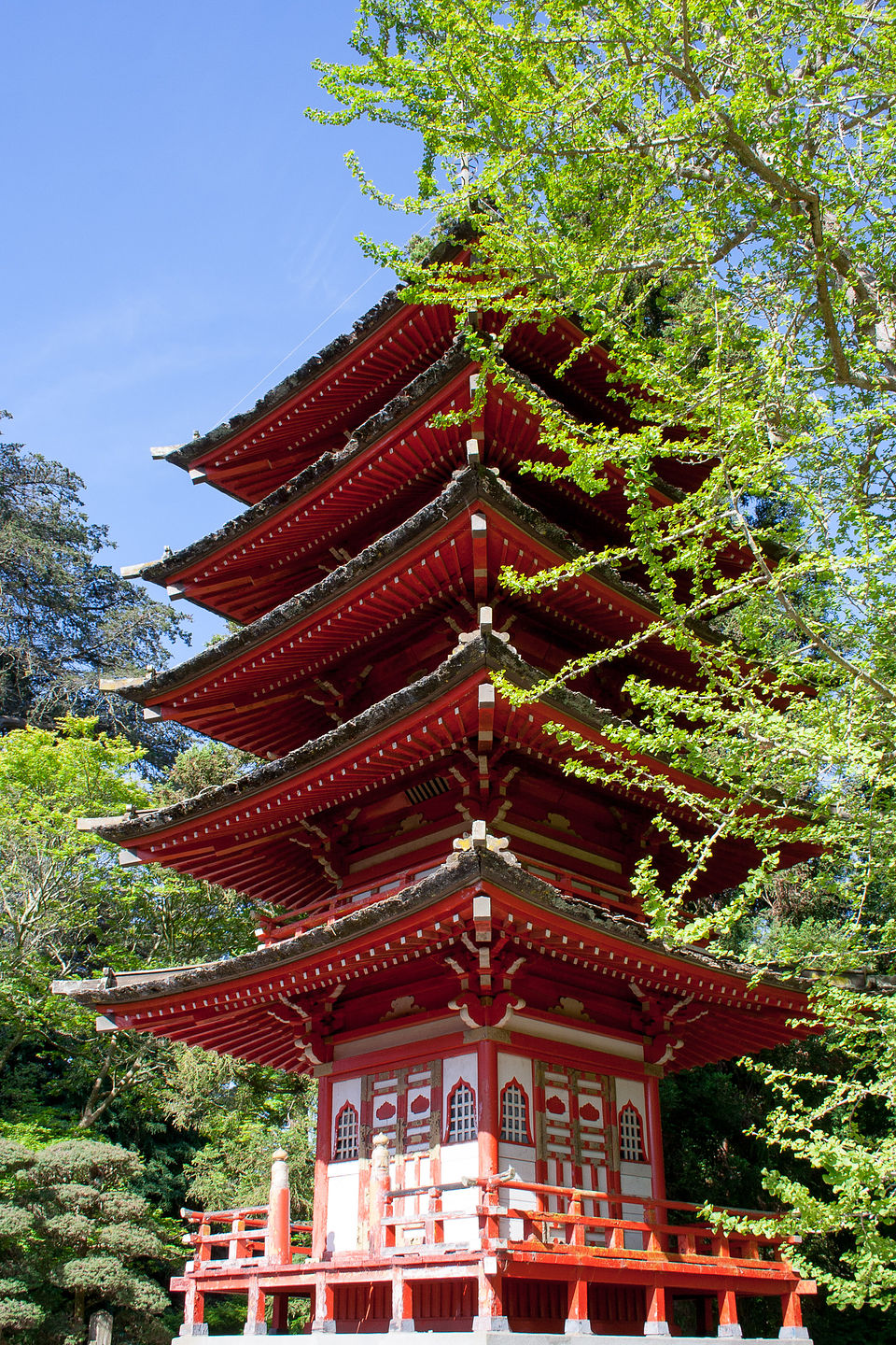 Japanese Tea Garden