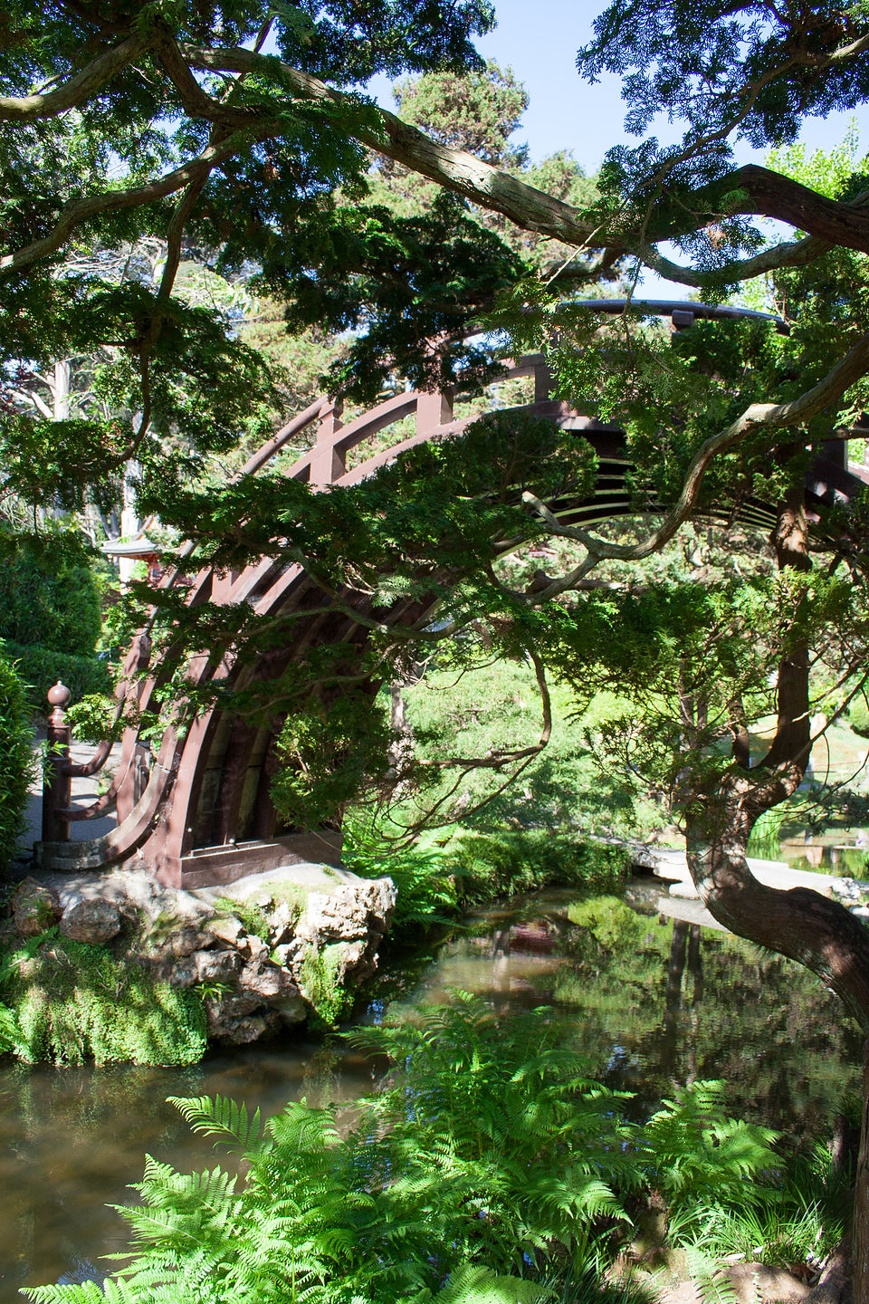 Japanese Tea Garden Arched Drum Bridge Japanese Tea Garden Arched Drum Bridge