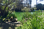 Stow Lake