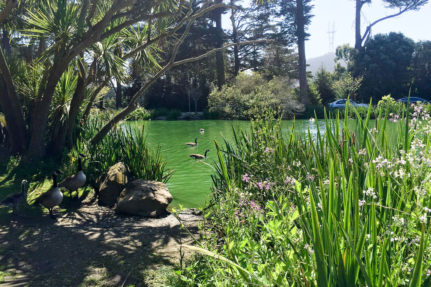 Stow Lake Stow Lake