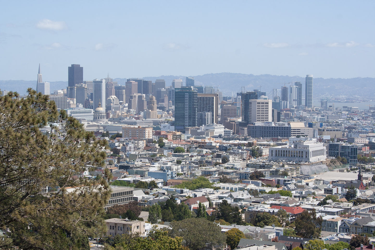 View from Corona Heights View from Corona Heights