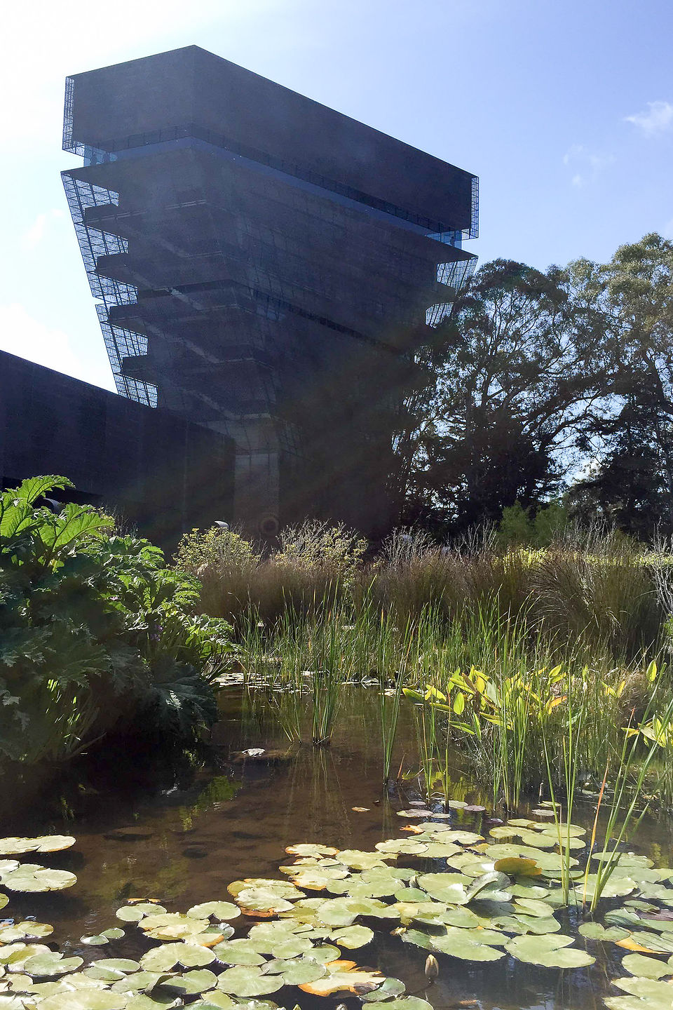 de Young Museum de Young Museum