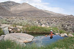 Herb Soaking in Keough Hot Ditch