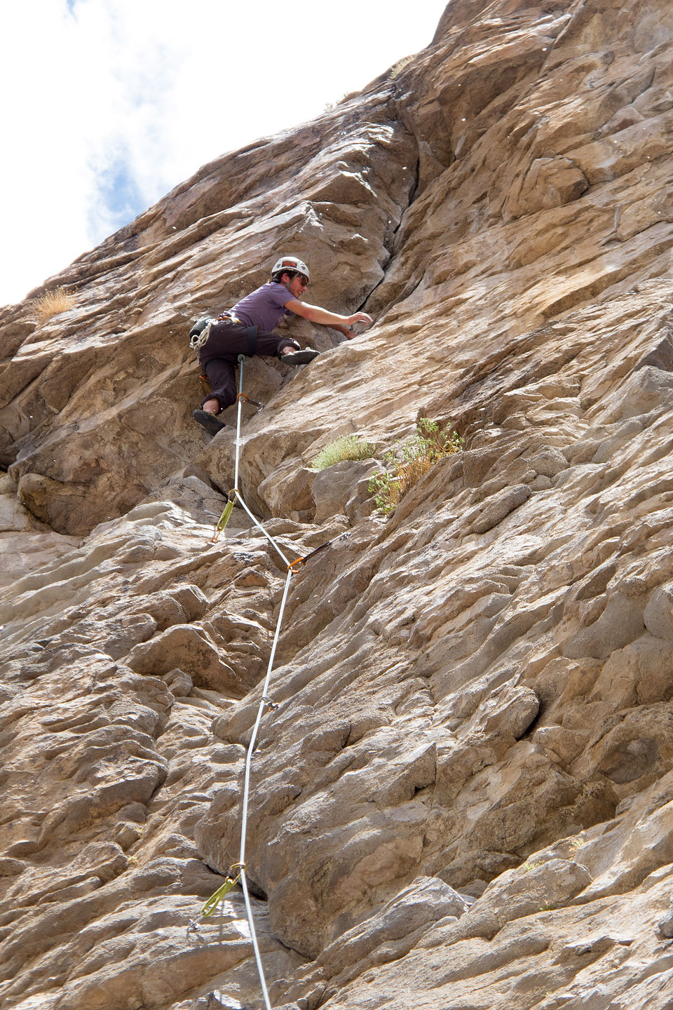 Andrew on Lead