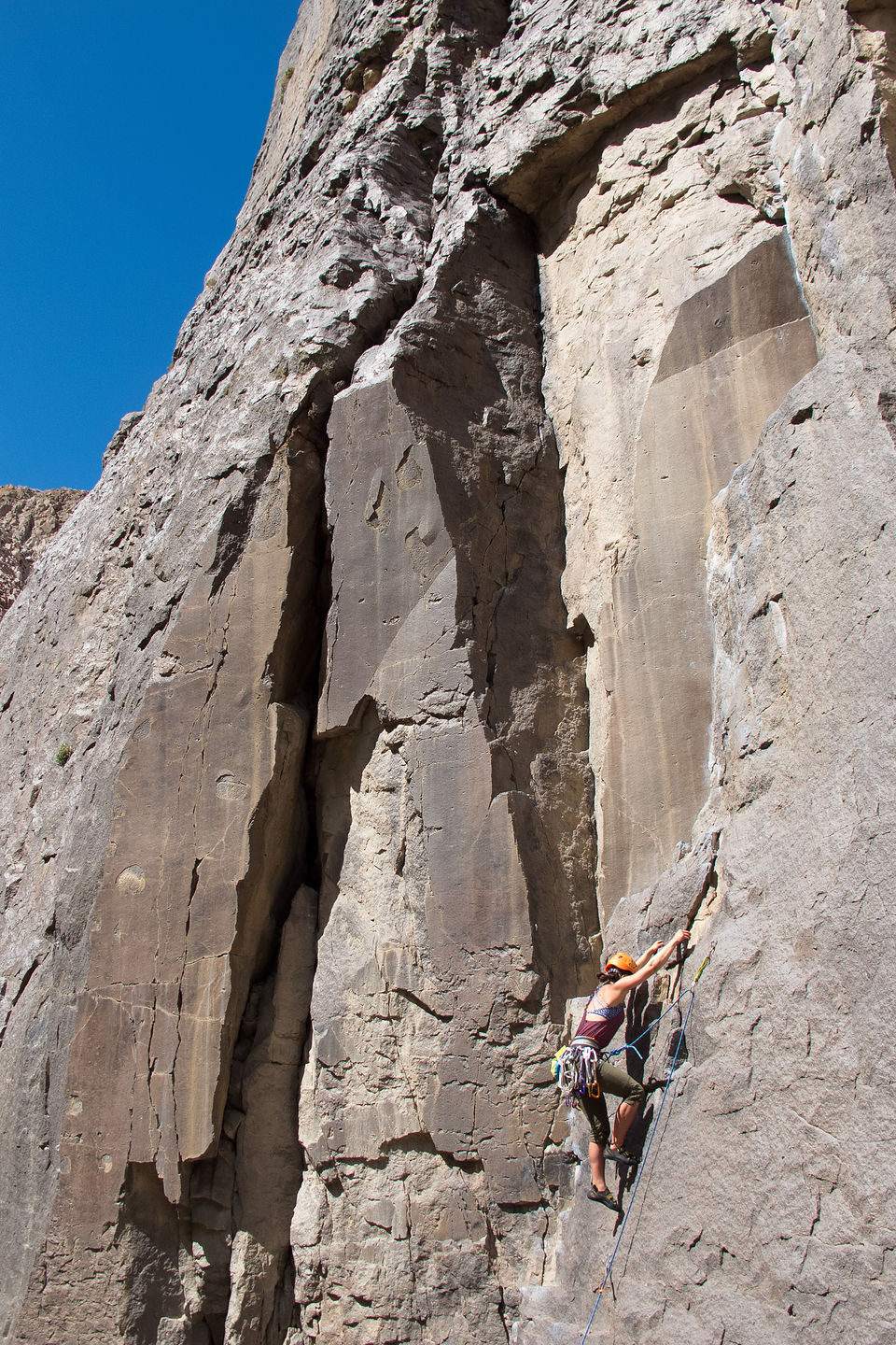 Celeste on Lead Celeste on Lead