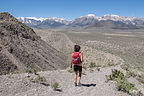 Lolo on Panum Crater Rim Trail