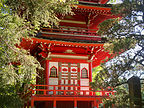 Red Pagoda in Japanese Tea Garden