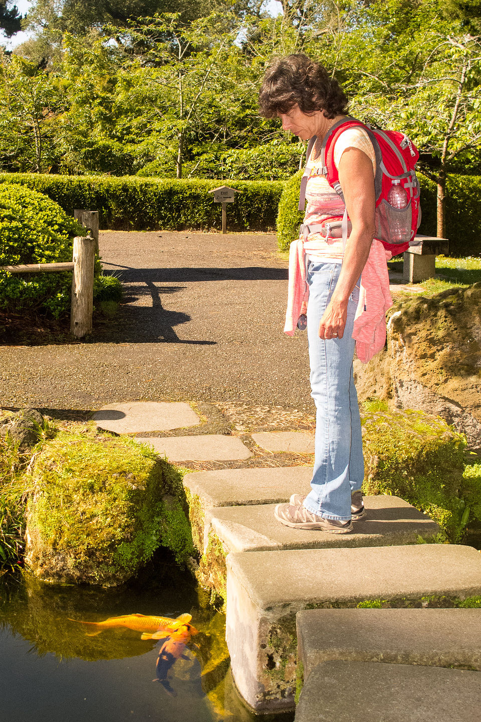 Lolo with Koi in Japanese Tea Garden Lolo with Koi in Japanese Tea Garden