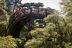 Lolo Ascending Arched Drum Bridge