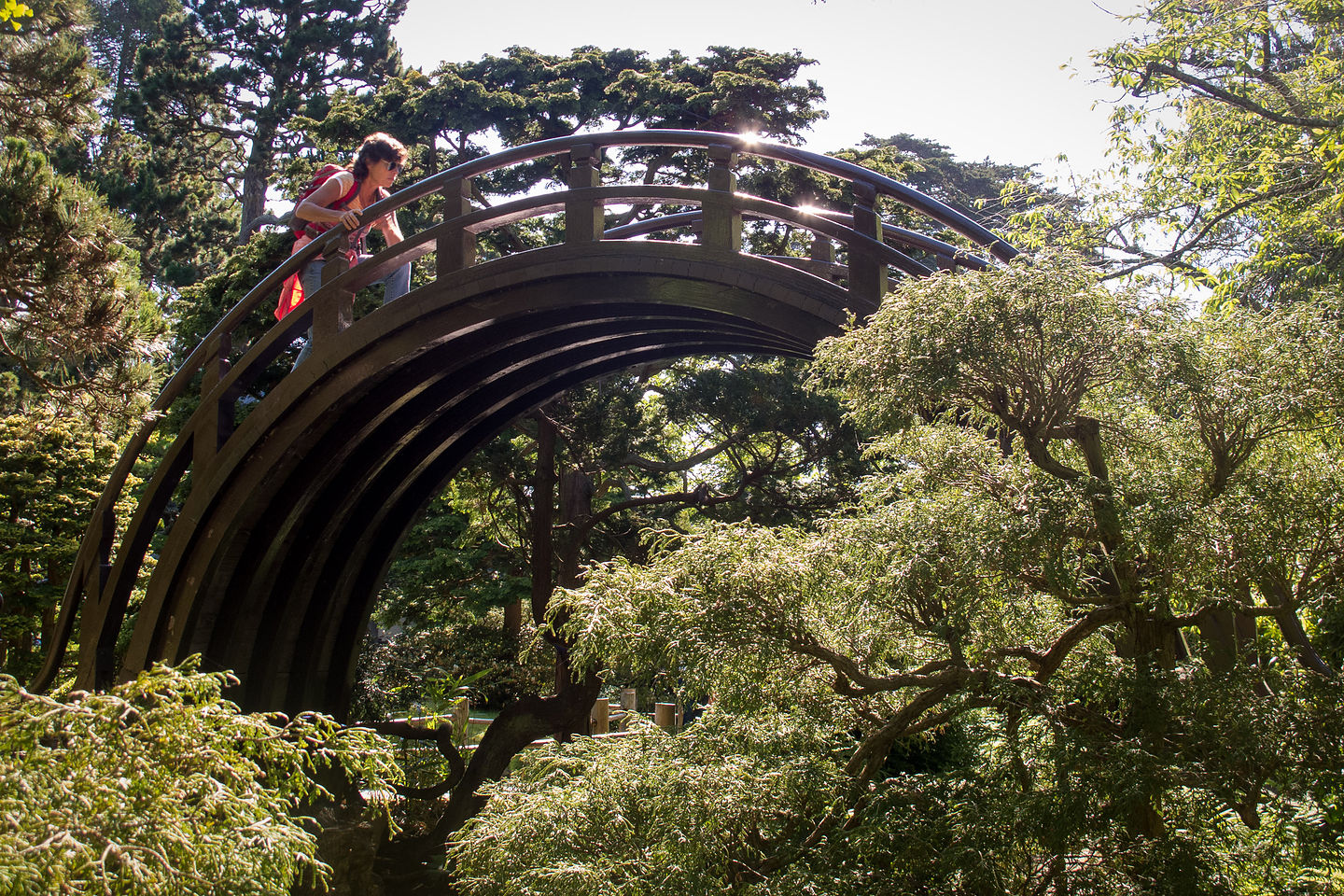 Lolo Ascending Arched Drum Bridge Lolo Ascending Arched Drum Bridge