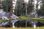 Pond on Hike Out from Olmsted Canyon