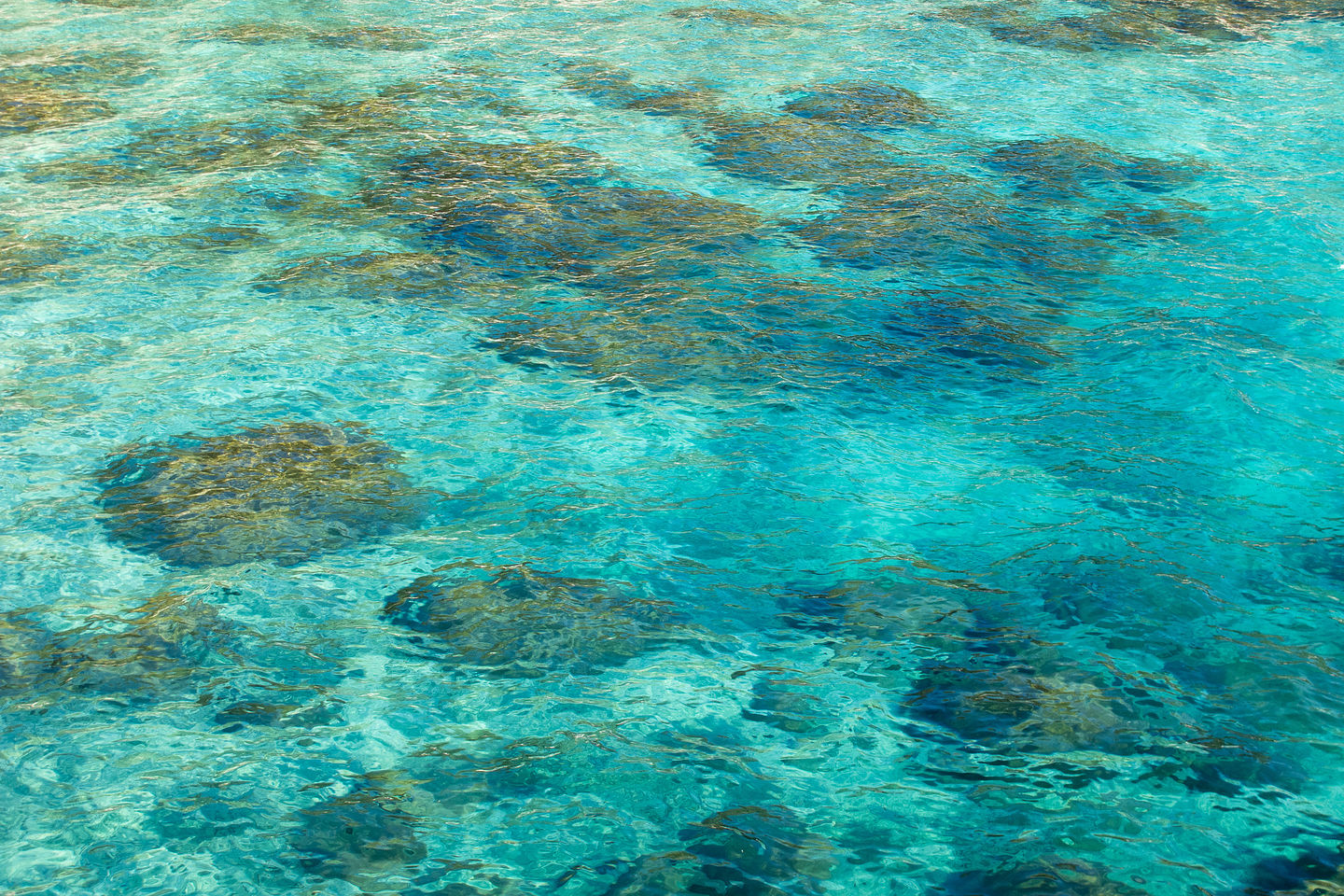 Lake Tahoe Waters