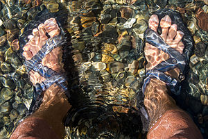 Sandals in Fallen Leaf Lake