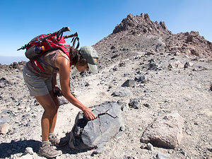 Lolo with Rock on Lassen False Summit