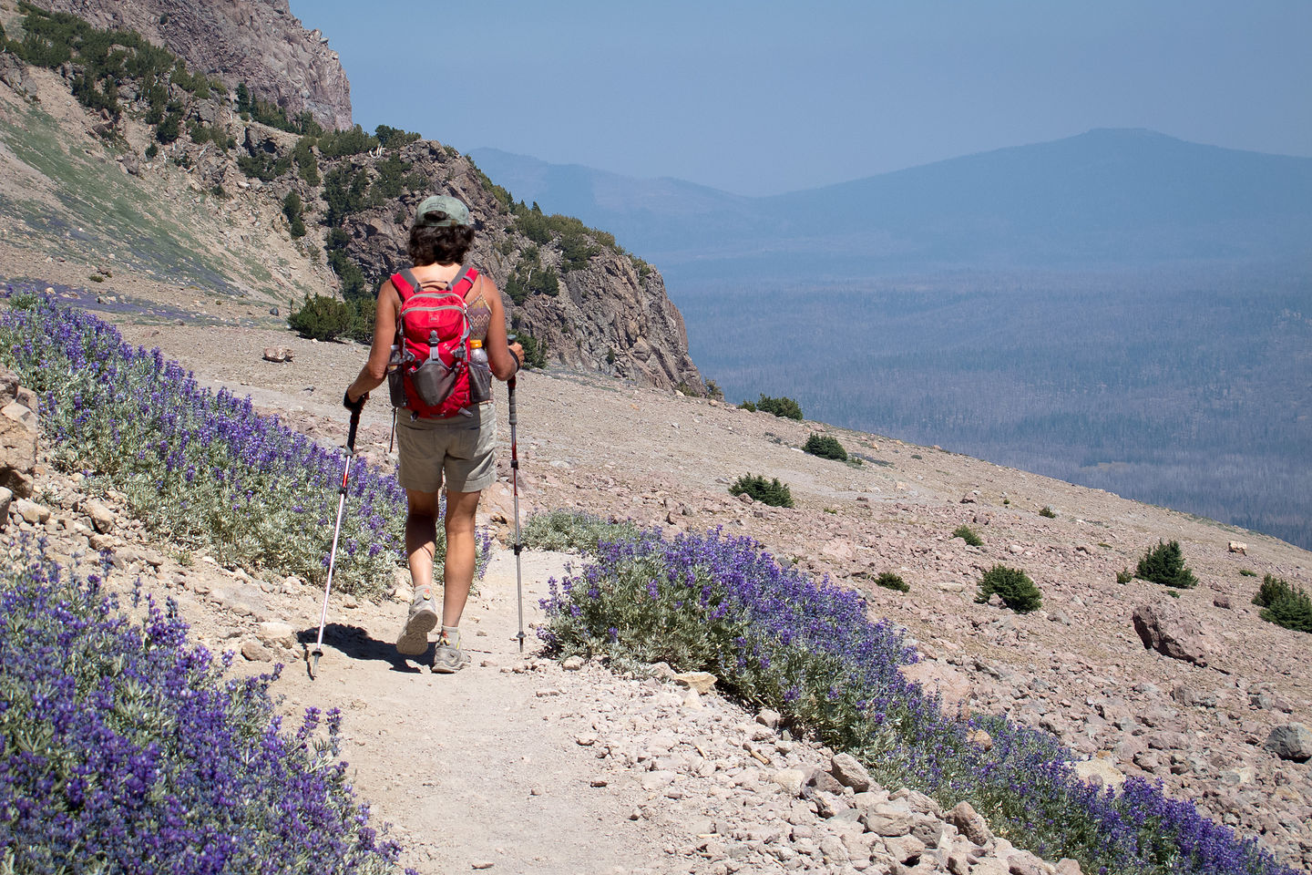 Lolo on Descent from Lassen Peak Lolo on Descent from Lassen Peak
