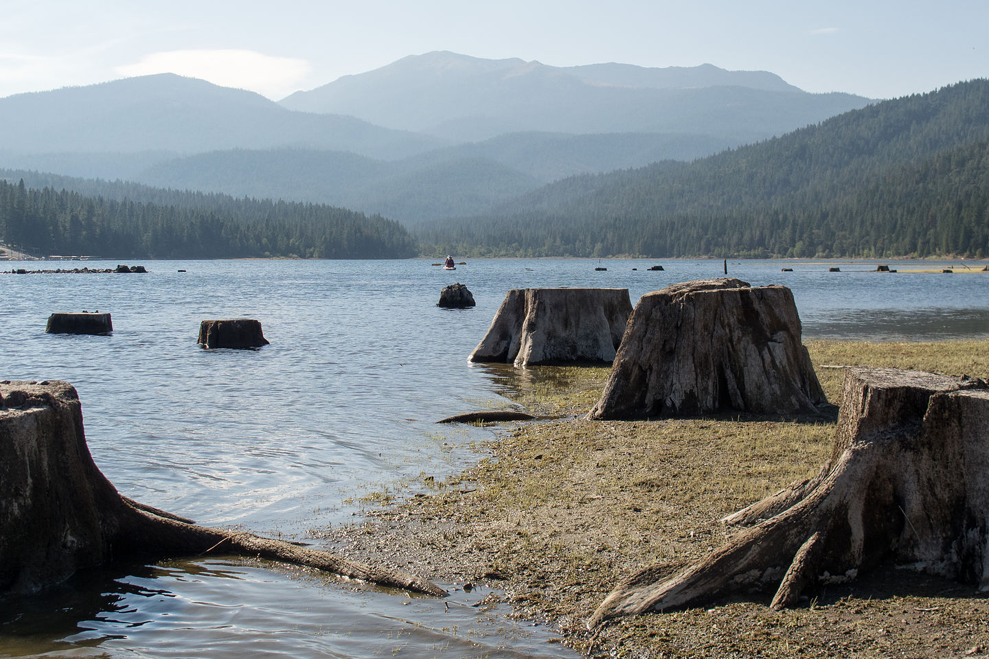 Lake Siskiyou Northern Shore Lake Siskiyou Northern Shore