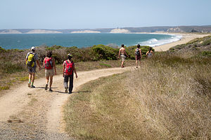 Hiking at Point Reyes