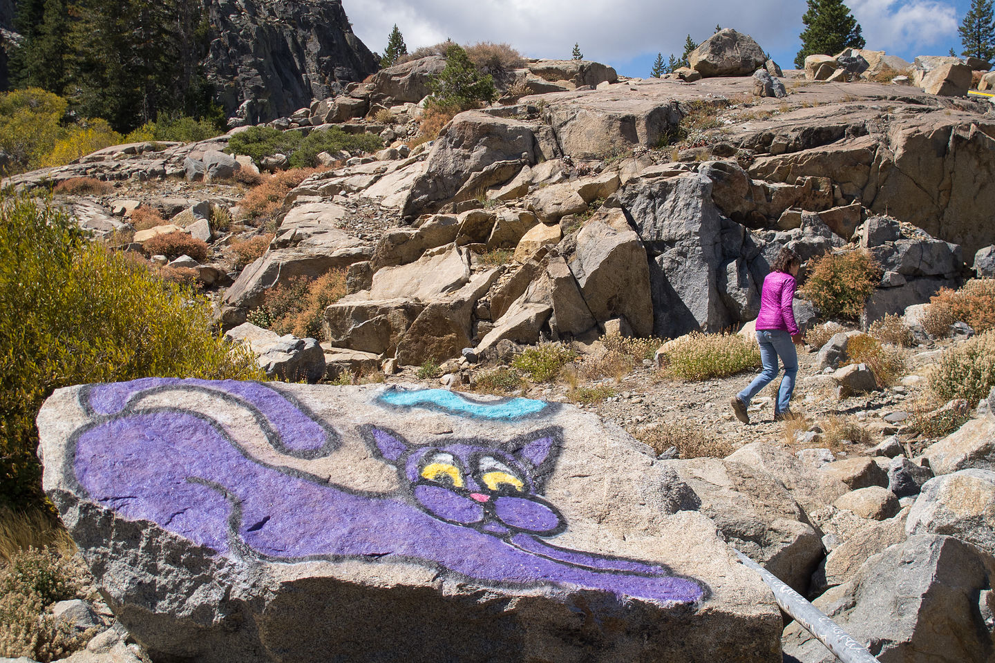 Lolo Hiking by the Snowsheds with Purple Cat Lolo Hiking by the Snowsheds with Purple Cat