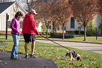 Charlie Walking Jim and Lolo