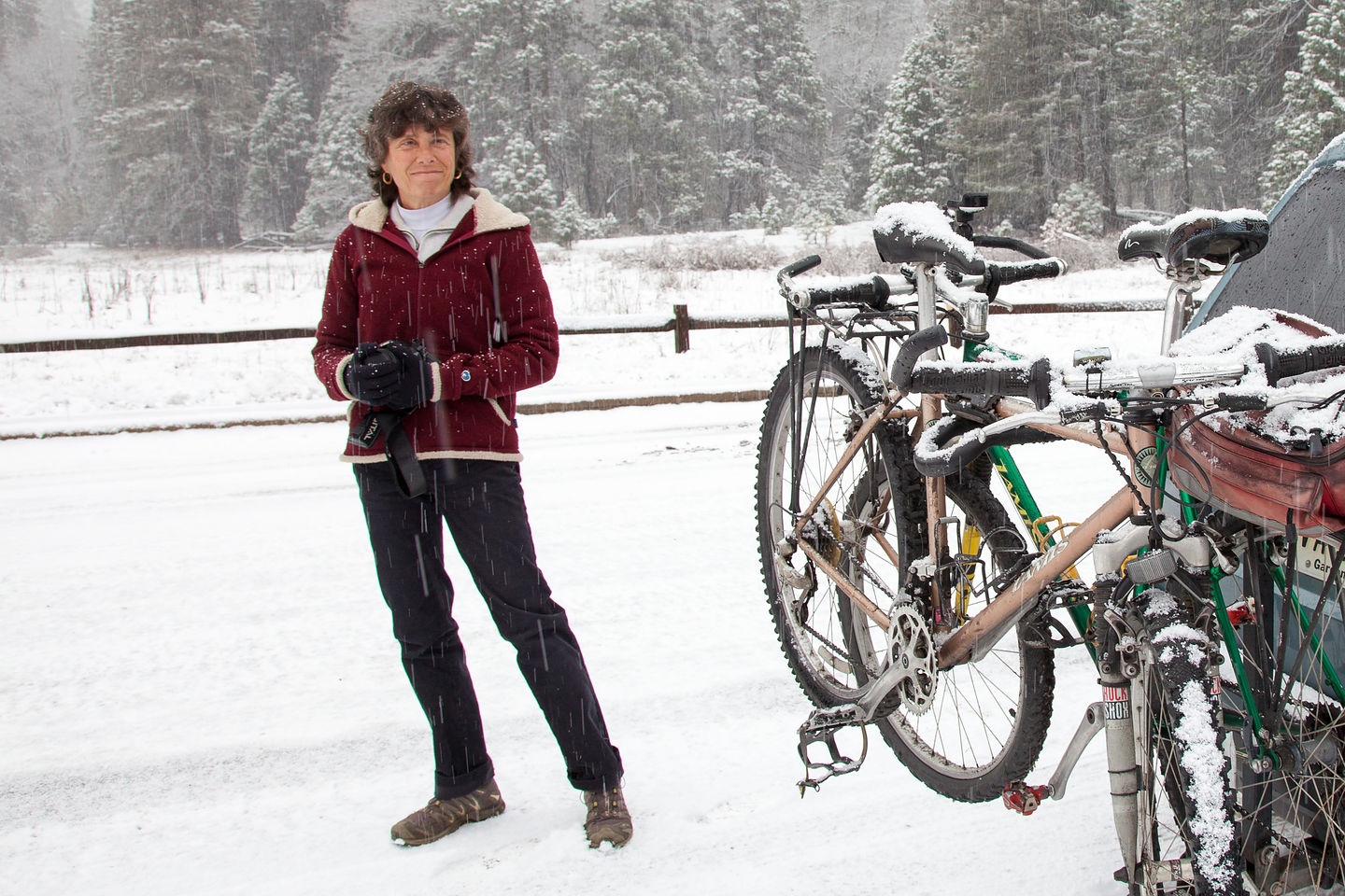 Lolo Arrives in Snowy Yosemite