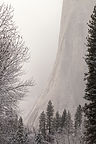 Hazy El Cap