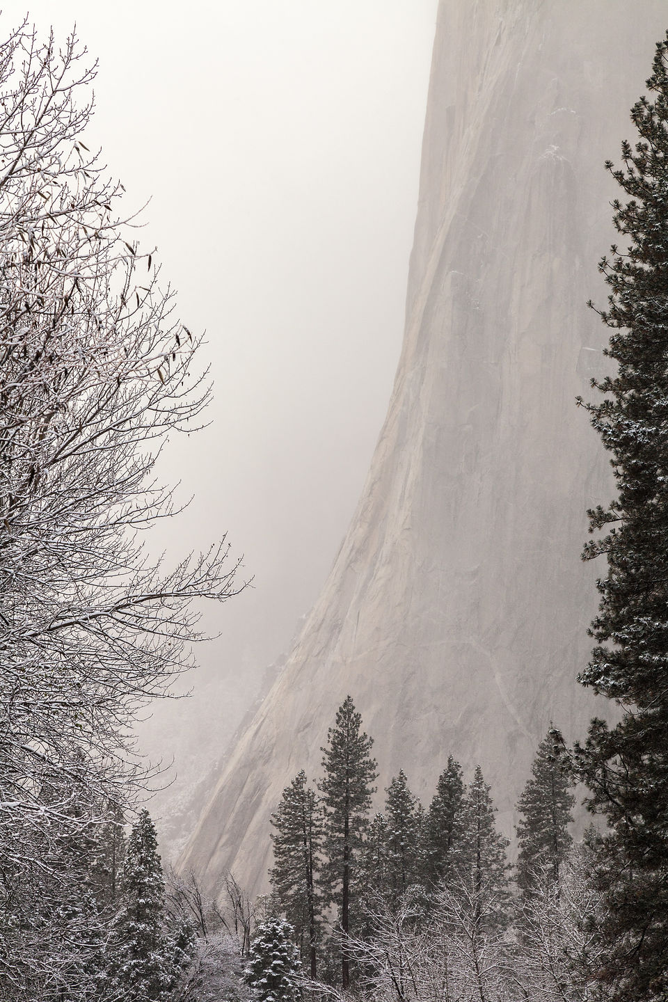 Hazy El Cap Hazy El Cap