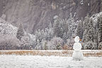 Lonely Snowman in the Meadow