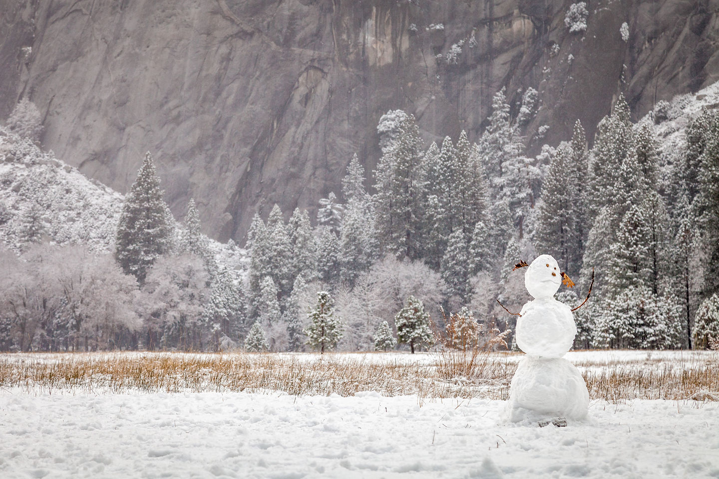 Lonely Snowman in the Meadow Lonely Snowman in the Meadow