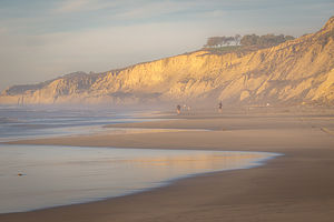 Black's Beach at Torrey Pines